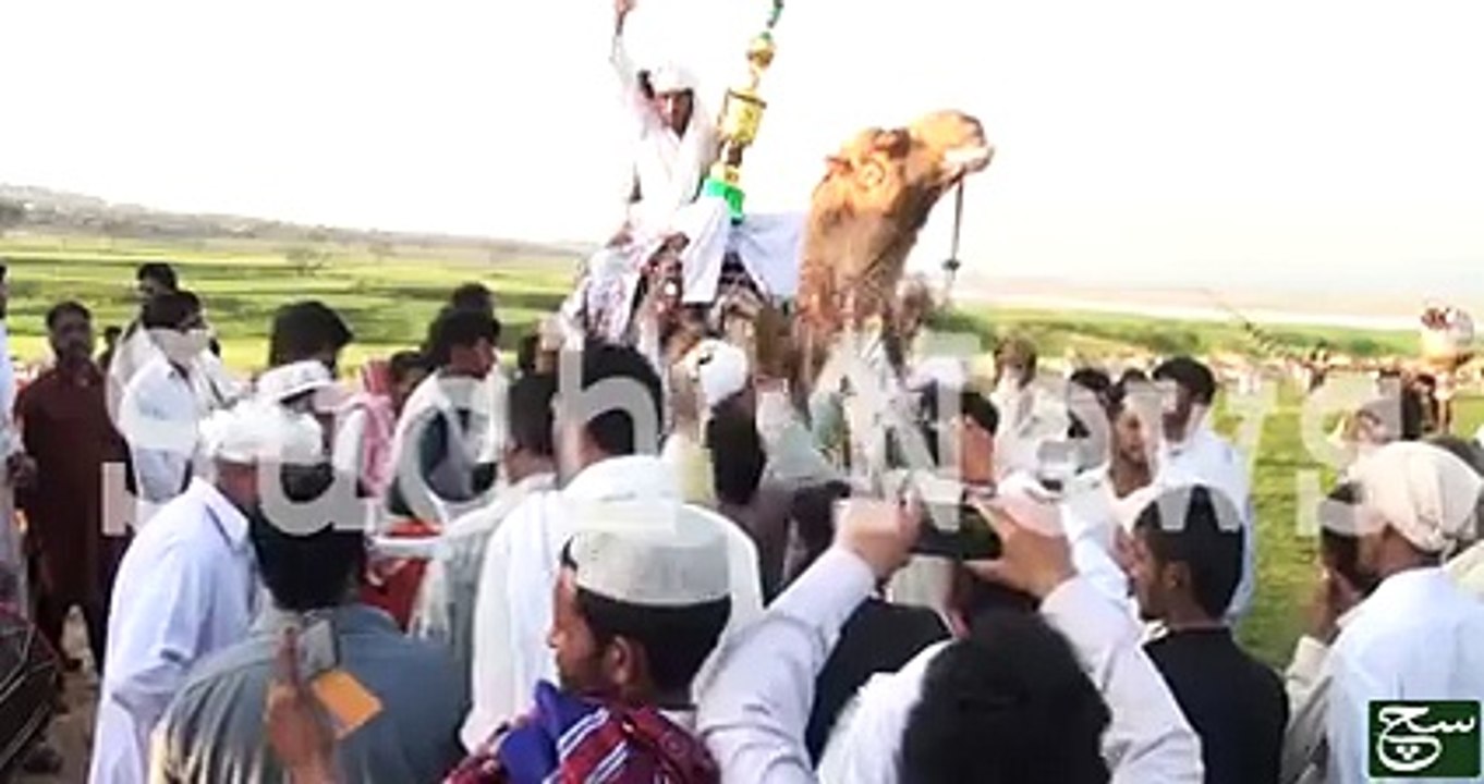میرپور میں اونٹوں کا دلچسپ مقابلہ