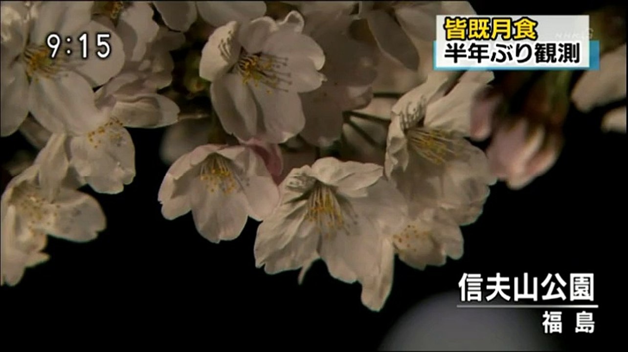 20150404 日本月全蝕