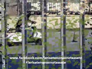 Fidatevi!, loro sono dei veri piloti...