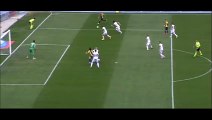 Goal Luca Toni - Verona 1-0 Cesena - 04-04-2015