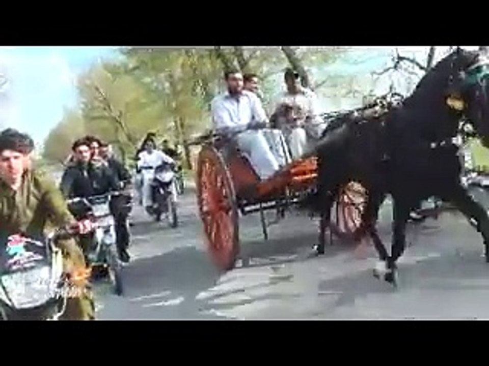 shery khan horse panchi piyara jumma try 3-4-15