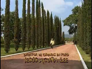 Coração Indomavel 98