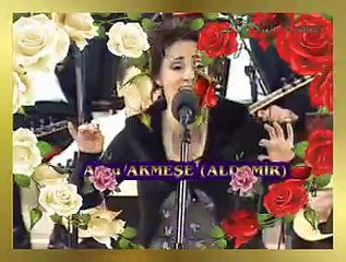 Arzu AKMEŞE (ALDEMİR) *Arakçının Mendedir Ceyran*