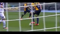 Juan Gomez Great Goal - Verona vs Cesena 2-0 (SA) 04_04_2015