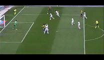 Luca Toni Goal - Verona 1-0 Cesena 04.04.2015 HD