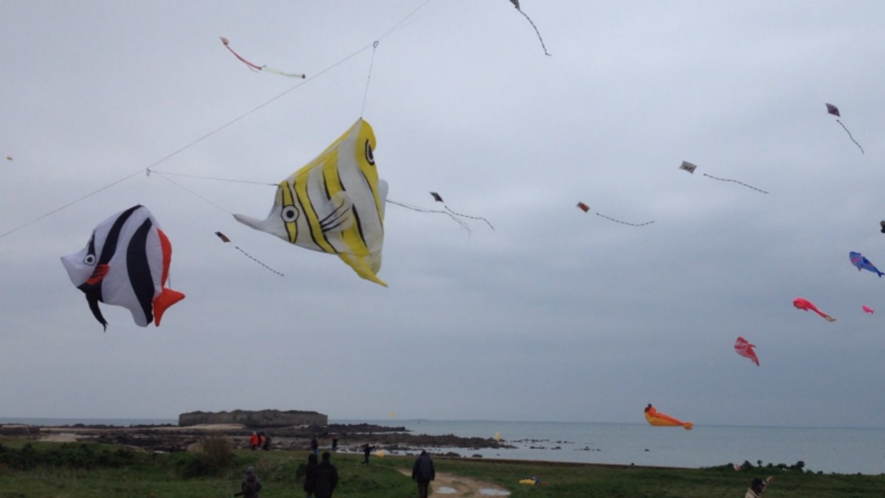 Les cerfs volants de Tatihou