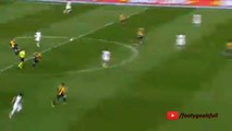 Luca Toni Amazing Goal - Hellas Verona vs Cesena 3-0 (Serie A 2015)
