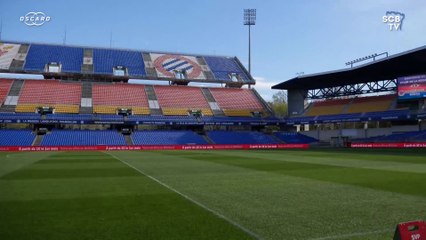 L'avant-match Montpellier-Bastia