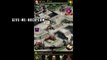 Clash of Kings Hack (Gold Cheat) iOS/Android
