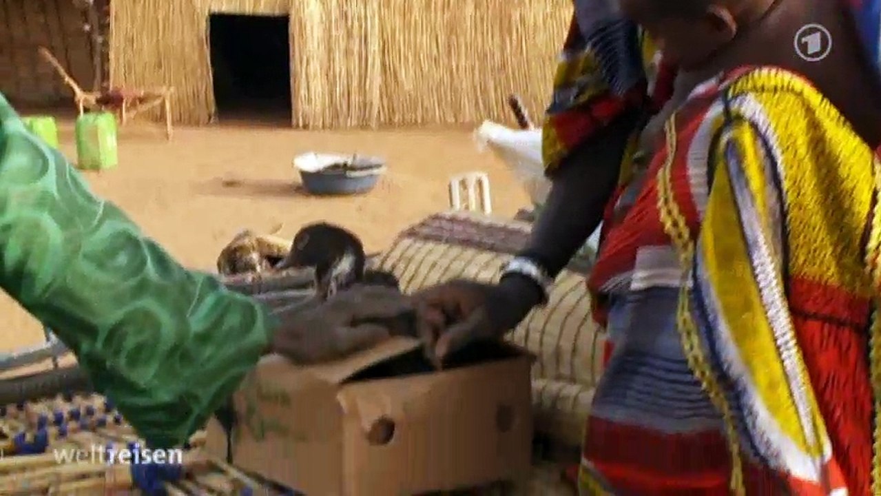 Weltreisen - Auf heissen Raedern durch Afrika