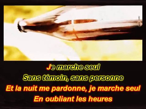 KARAOKE GENERATION GOLDMAN - Je marche seul