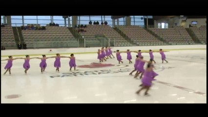 Adult SYS III  Synchro Free Program 2 (REPLAY)