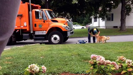 My dog loves the garbage man.