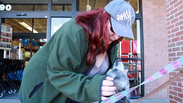 After the Race Greyhound Racing Dog Adoption, Metamora Films