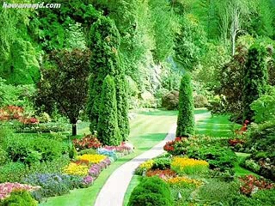 أجمل دعاء ماهر المعيلقي MASHA'ALLAH-DOUAA