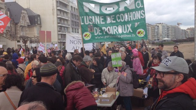 Manifestation du collectif Non à l'usine à cochons