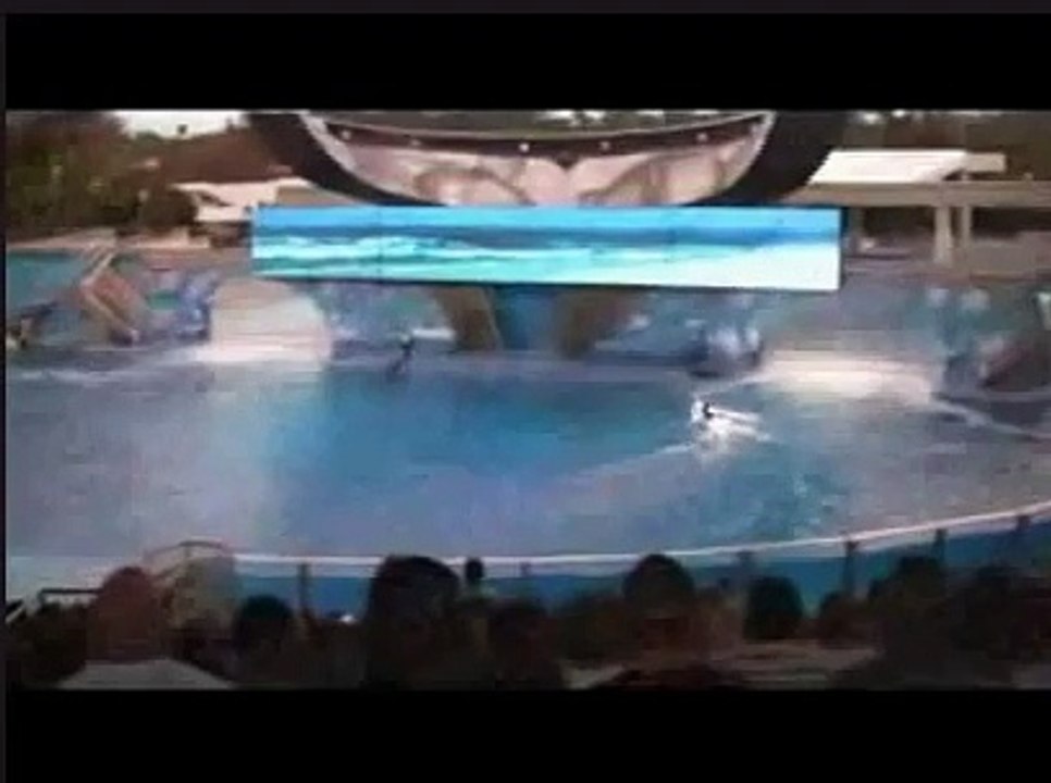 Ha Ha Ha !!! Seaworld Stunt goes wrong