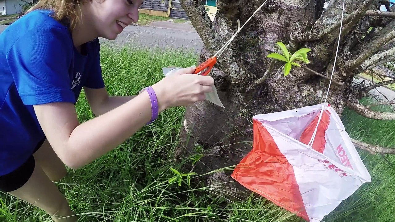 Les jeunes officiels épisode 1