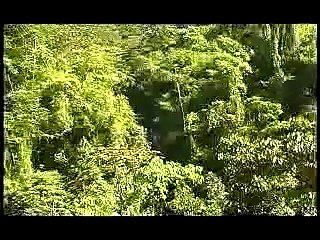 Municipio de San Marcos, Guatemala