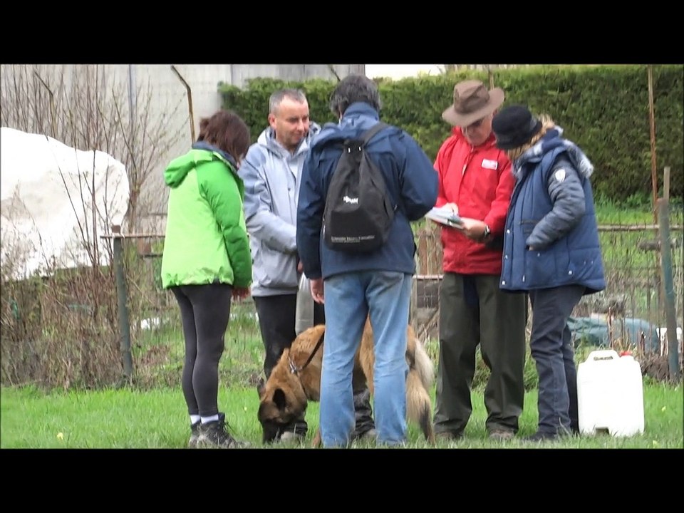 Jedaye passe le Csau - 4 avril 2015, certificat de sociabilité et d'obéissance.