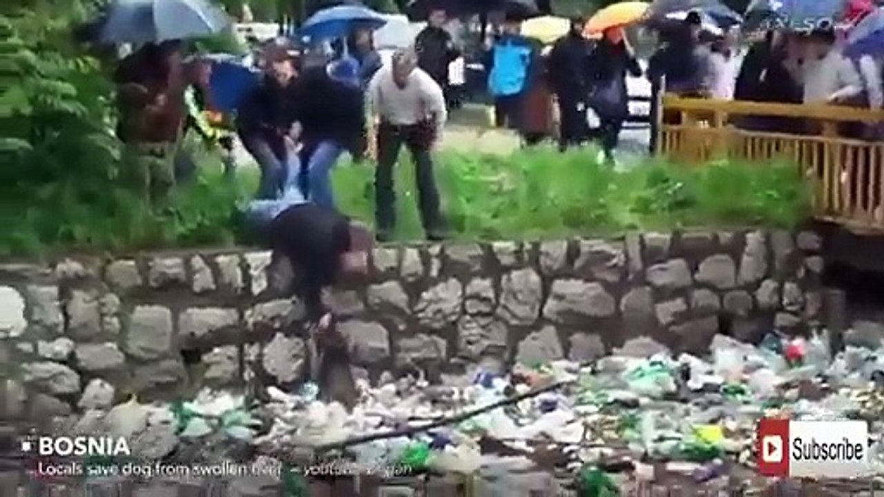 Vidéo choquante qui a fait le pleurer le monde entier.