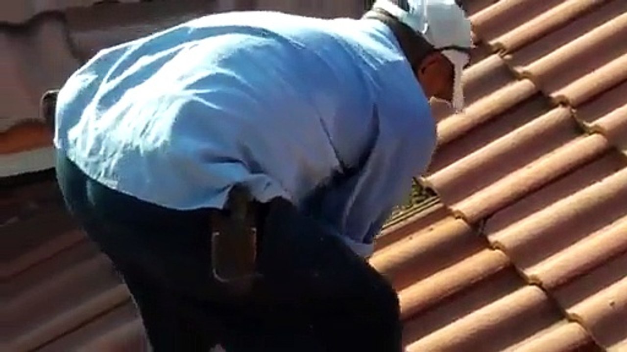 Vous n’arriverez pas à croire ce que cet homme a découvert sous une toiture à Miami