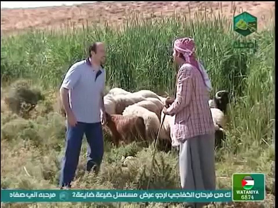 عشنا و شفنا-النذر
