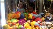 Mega claw machine wins at Dave and Busters