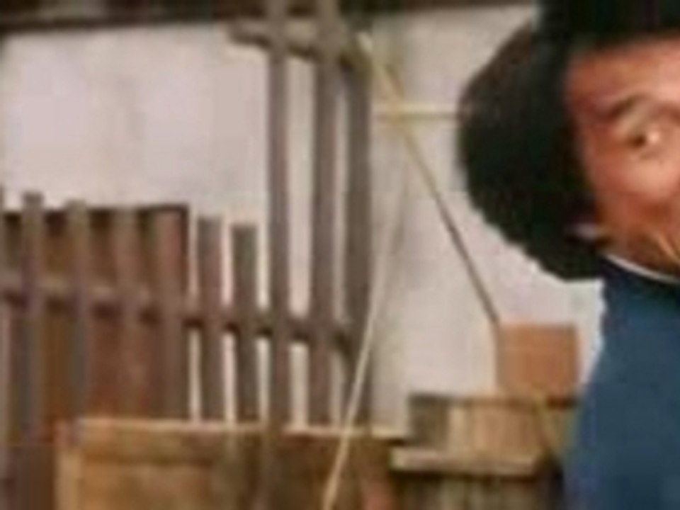 Drunken master 2