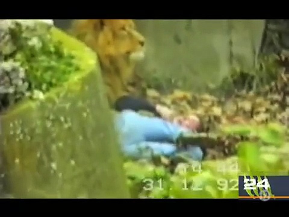 Animaux Dangereux Tueurs Les Gens