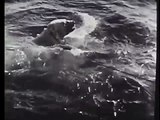 Journal TV - Almanac Newsreels - Secret submarine, NY mourns Fiorello, Bartlett conquers Arctic