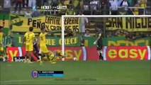 Defensa y Justicia 3 vs 3 Rosario Central ~ [Primera División 2015] ~ 04.04.2015 ~ todos los goles resumen