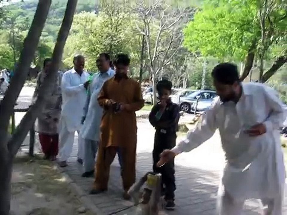 Other side of Animal Cruelty