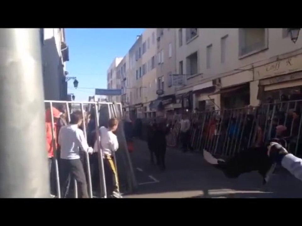 Feria d'Arles :  Encierro et course camarguaise au menu