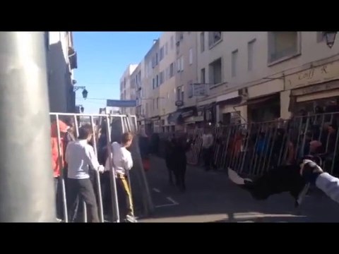 Feria d'Arles : Encierro et course camarguaise au menu