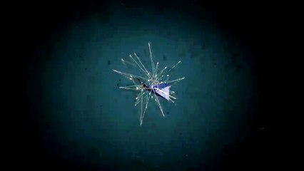 'Ponchito' ofreció disculpas por su falla