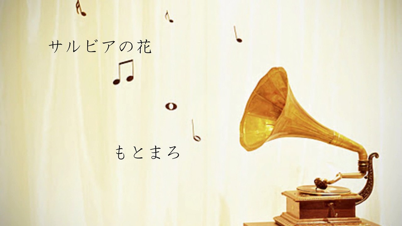 「サルビアの花」もとまろ