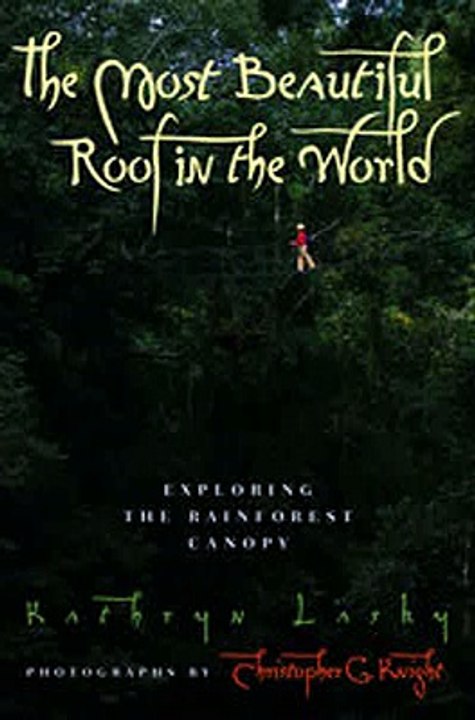 Download The Most Beautiful Roof in the World ebook PDF {EPUB