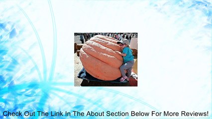 Pumpkin Dills Atlantic Giant 15 Seeds Review