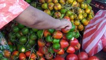 Farmers' Market at Zapote, San José, Costa Rica