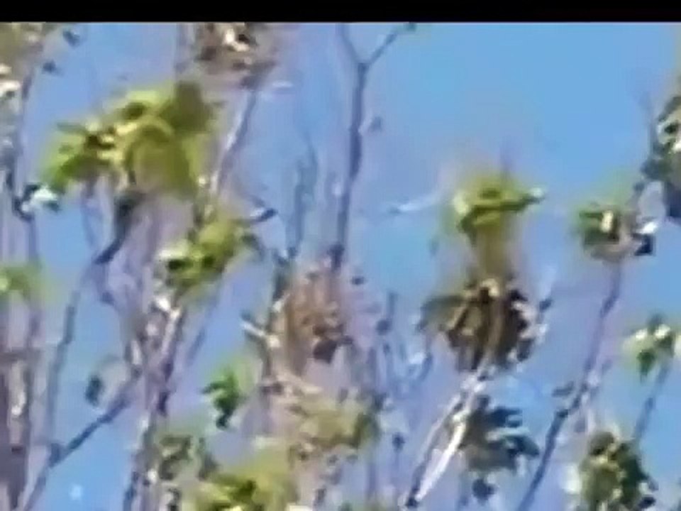 OMG plane crash accident  in Malaysia