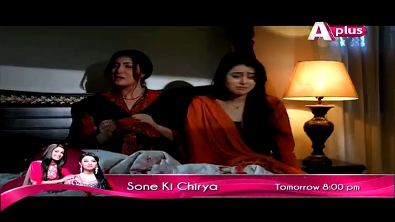 Kaneez Episode 63 Full on APlus