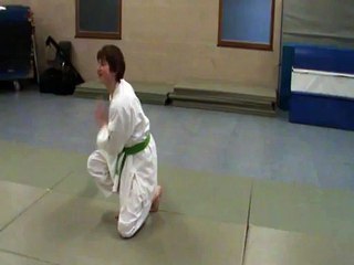 Suwari ushiro kaeten ukemi : finale shikko