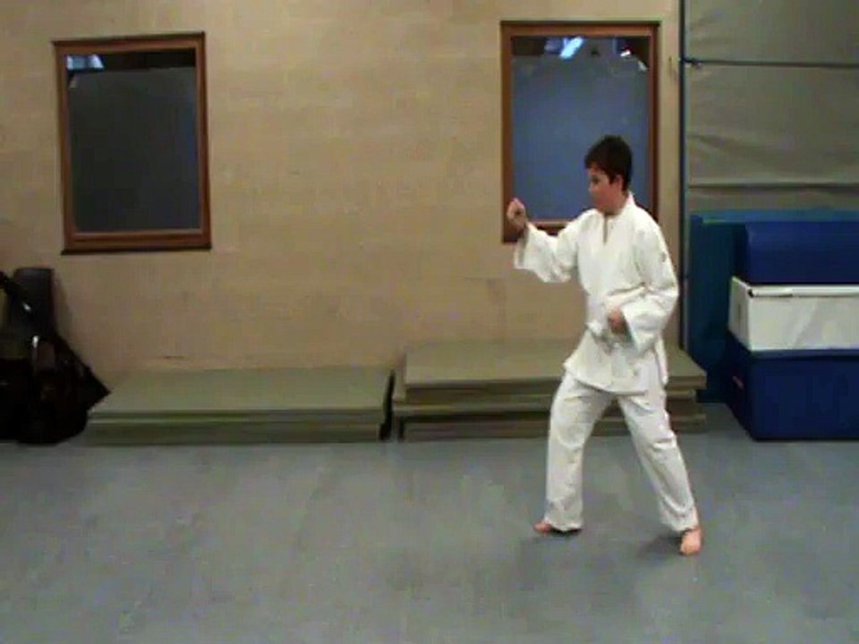kihon jodan oi tsuki ichi (tate ken)