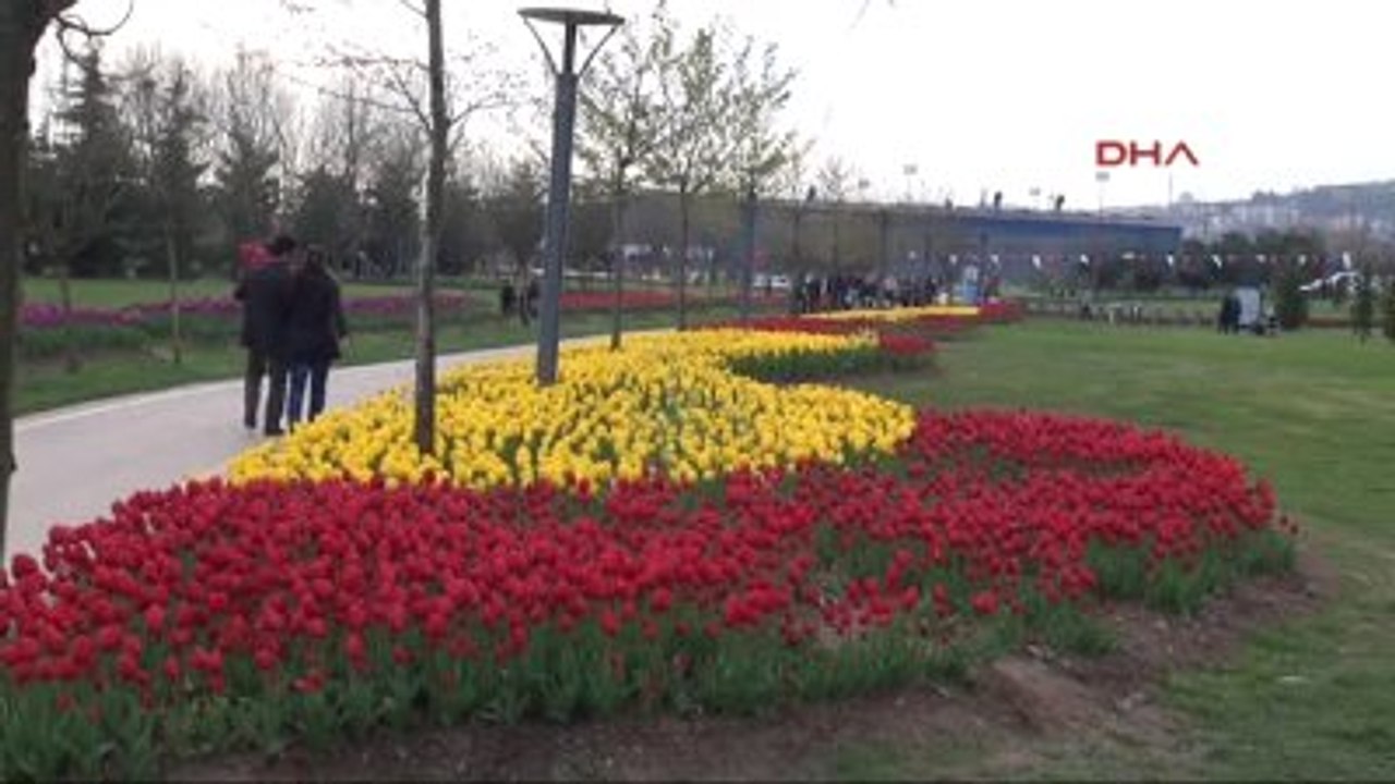 Kocaeli Lale Festivalinde En Güzel Laleler Yarıştı