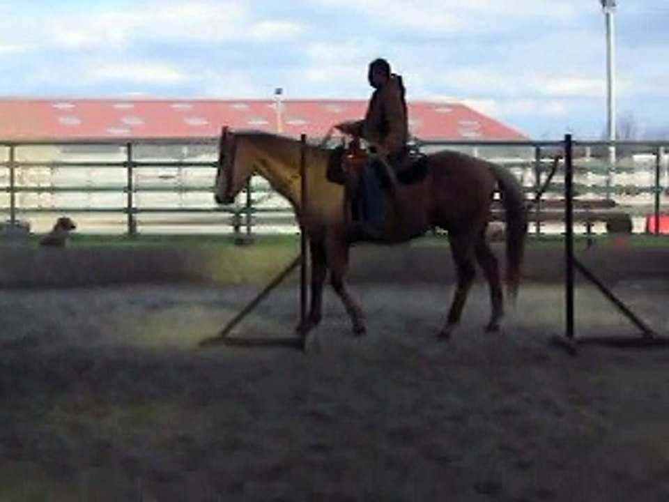 DSCN3166 Rey2