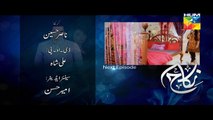 Nikah Episode 14 Promo on Hum Tv - 5th April 2015