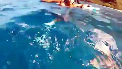 Un homme plonge au fond et voit la chose la plus merveilleuse de toute sa vie!