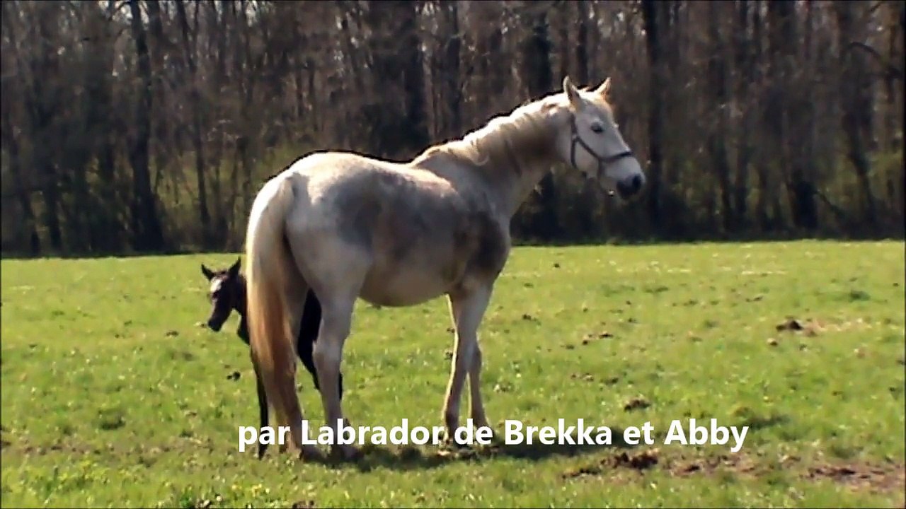 F de Sebitz 05 04 2015