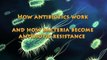 How antibiotics work and how bacteria become antibiotic resistance